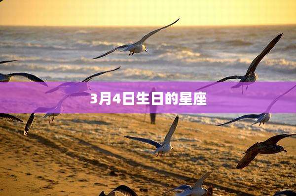 3月4日生日的星座