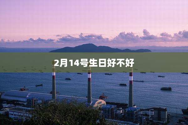 2月14号生日好不好