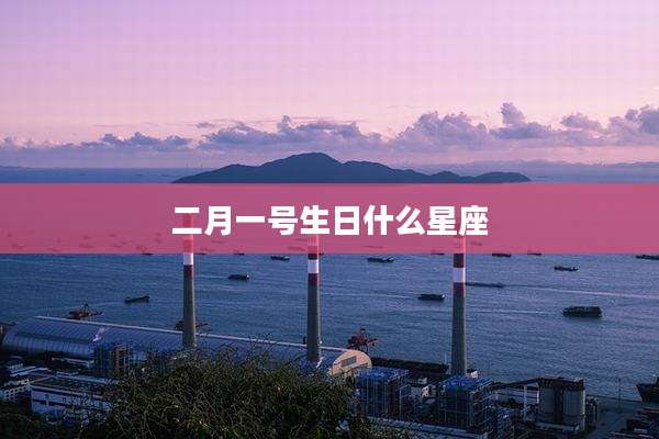 二月一号生日什么星座