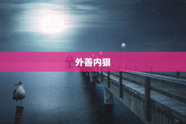 外善内狠