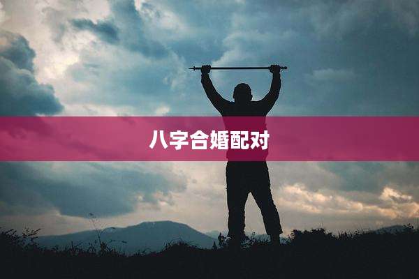八字合婚配对