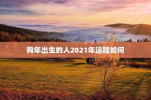 狗年出生的人2021年运程如何