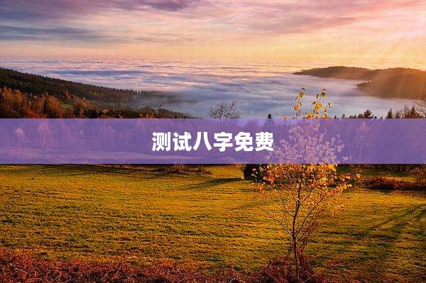 测试八字免费