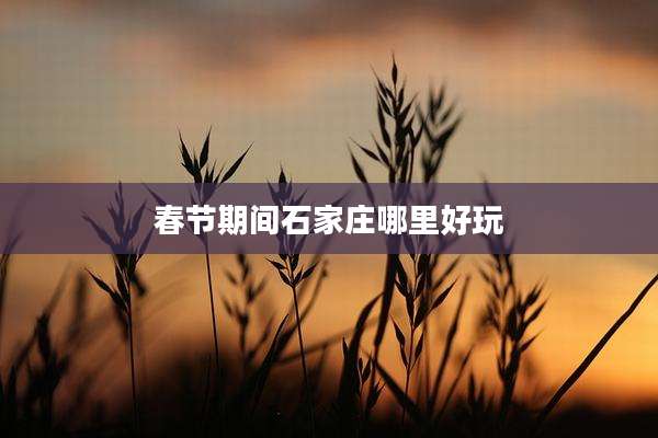 春节期间石家庄哪里好玩
