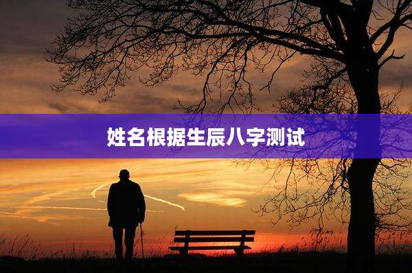 姓名根据生辰八字测试