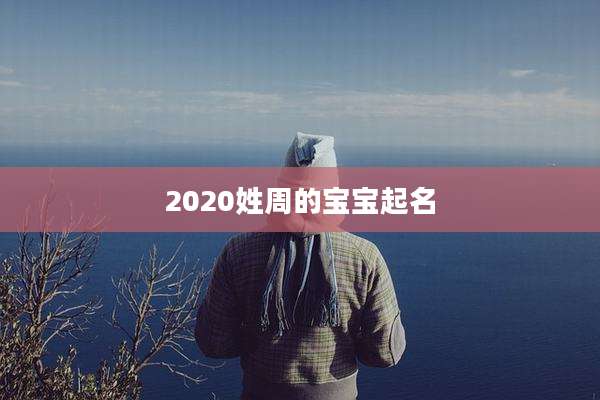 2020姓周的宝宝起名