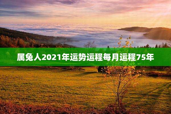 属兔人2021年运势运程每月运程75年
