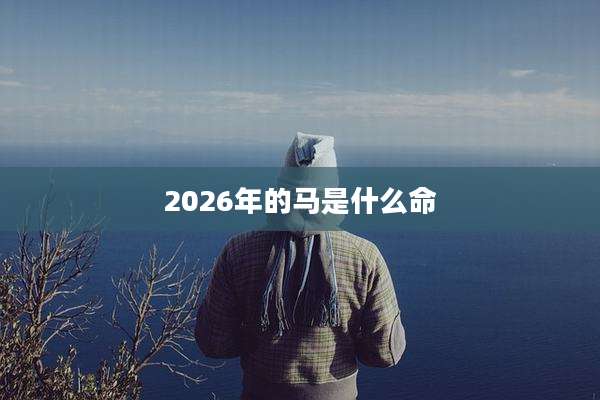 2026年的马是什么命
