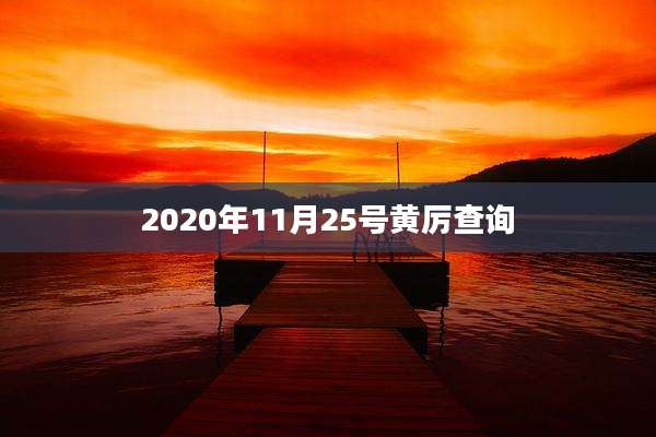 2020年11月25号黄厉查询