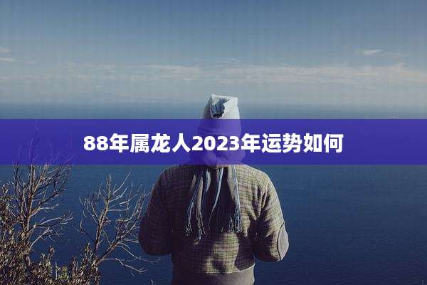 88年属龙人2023年运势如何