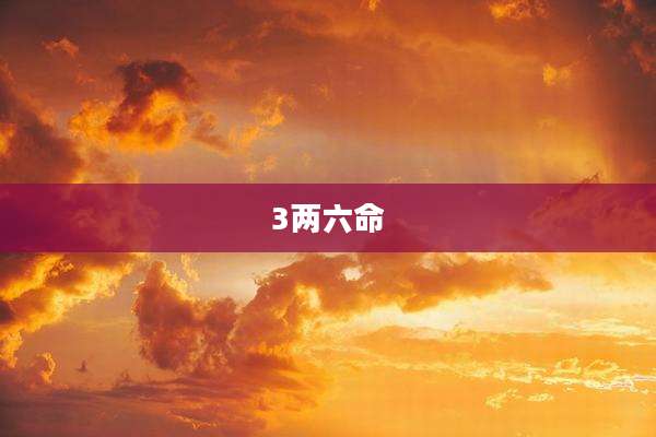 3两六命