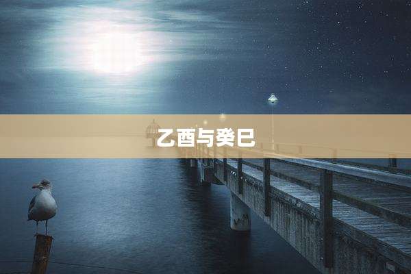 乙酉与癸巳