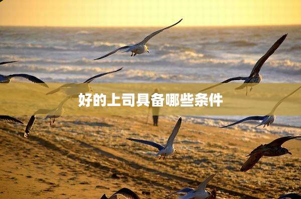 好的上司具备哪些条件