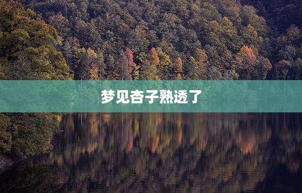 梦见杏子熟透了