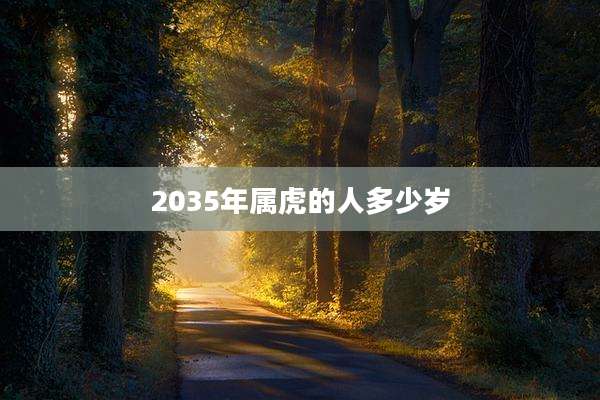 2035年属虎的人多少岁