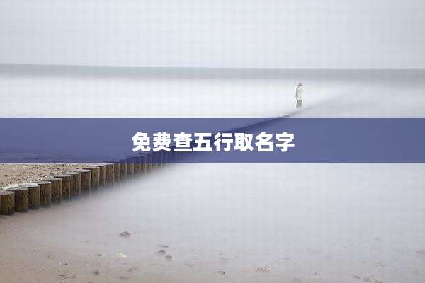 免费查五行取名字