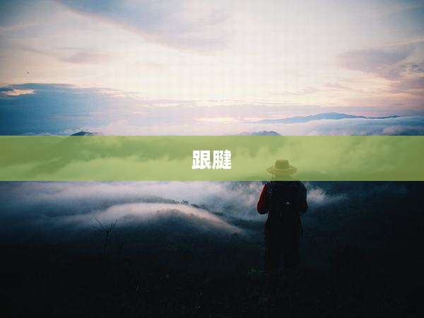 跟腱