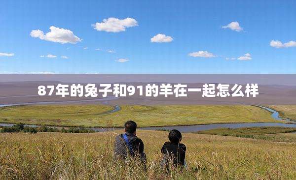 87年的兔子和91的羊在一起怎么样