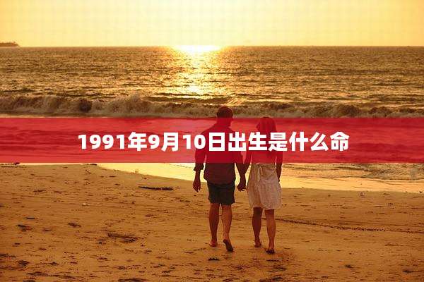 1991年9月10日出生是什么命