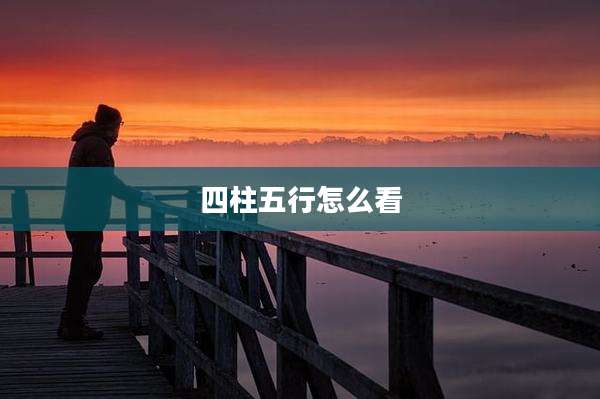 四柱五行怎么看