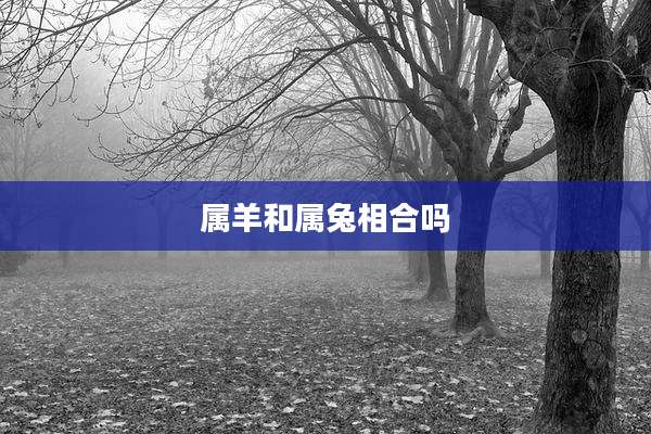 属羊和属兔相合吗