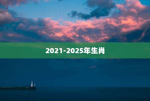 2021-2025年生肖