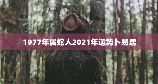 1977年属蛇人2021年运势卜易居