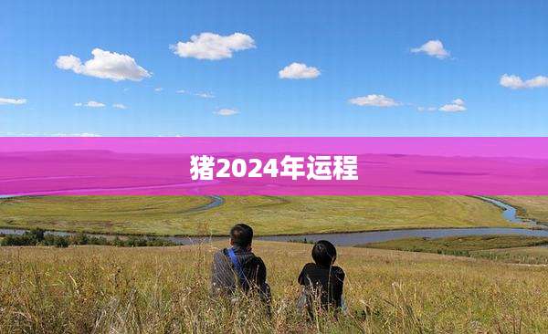 猪2024年运程