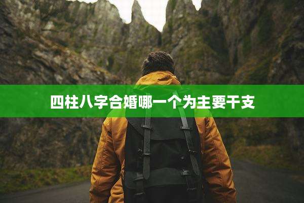 四柱八字合婚哪一个为主要干支