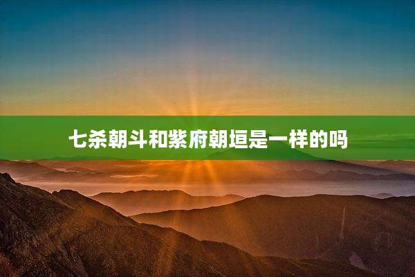 七杀朝斗和紫府朝垣是一样的吗