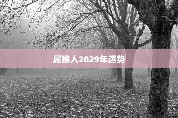 属猴人2029年运势