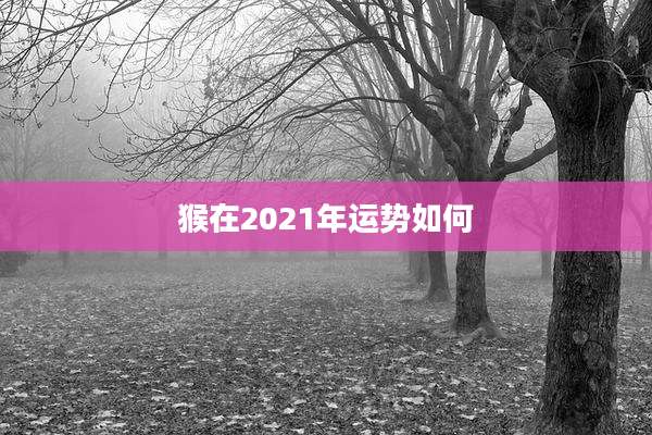 猴在2021年运势如何