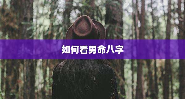 如何看男命八字