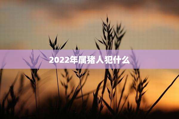 2022年属猪人犯什么