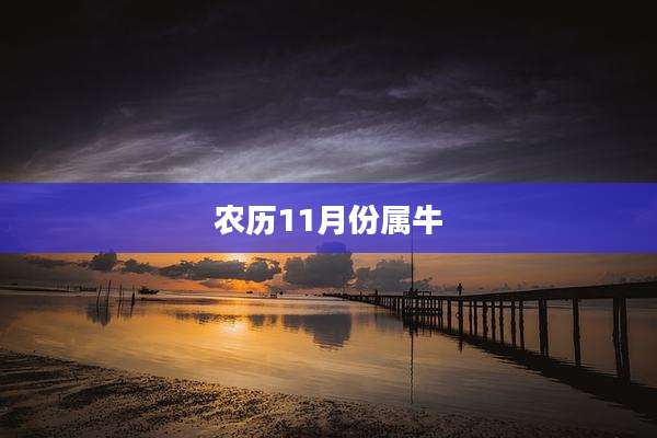农历11月份属牛