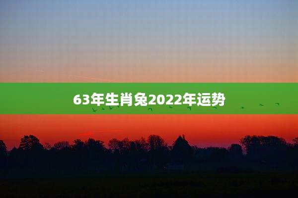 63年生肖兔2022年运势