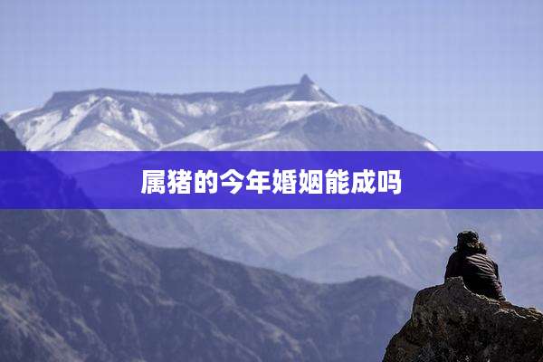 属猪的今年婚姻能成吗