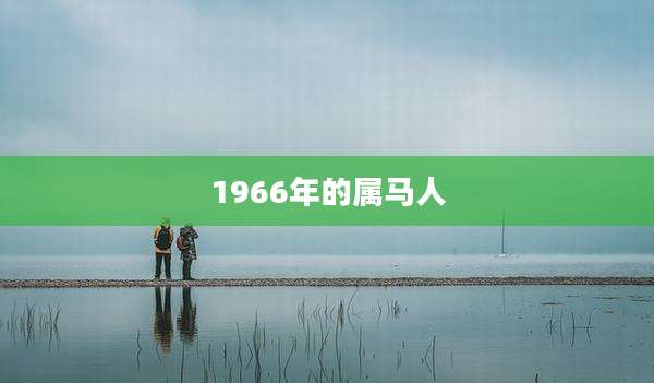 1966年的属马人