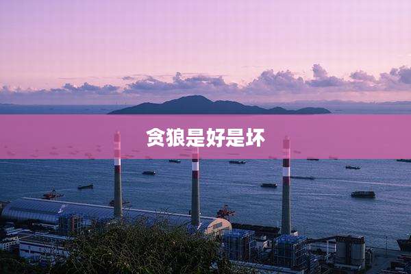 贪狼是好是坏