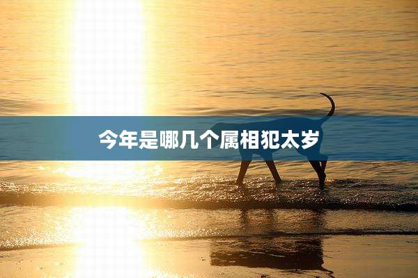 今年是哪几个属相犯太岁