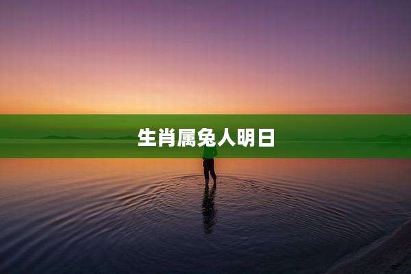 生肖属兔人明日