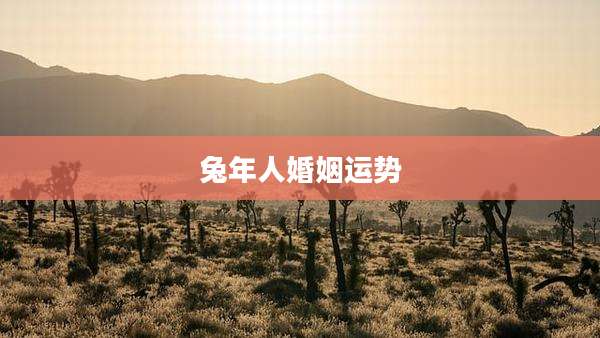 兔年人婚姻运势
