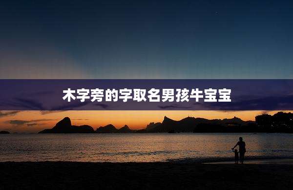 木字旁的字取名男孩牛宝宝