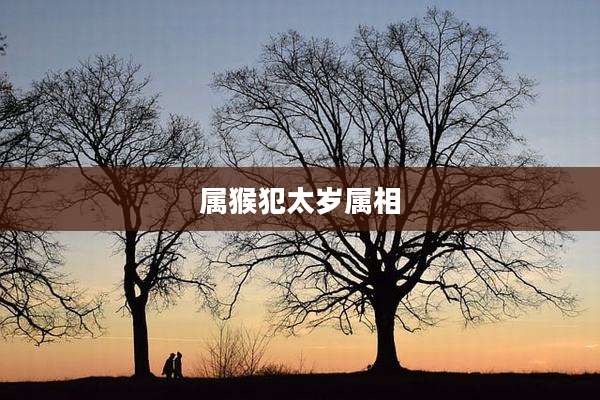 属猴犯太岁属相