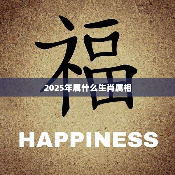 2025年属什么生肖属相