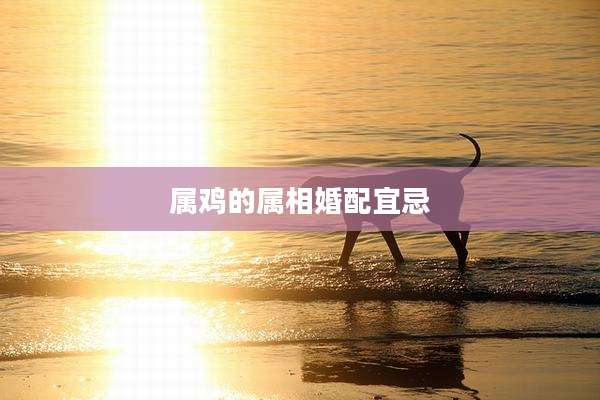 属鸡的属相婚配宜忌