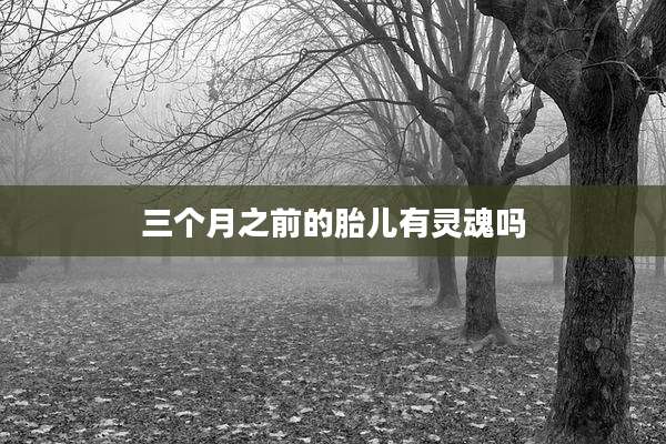 三个月之前的胎儿有灵魂吗