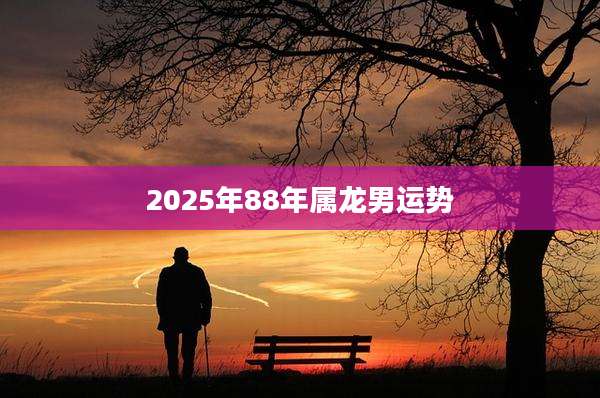 2025年88年属龙男运势