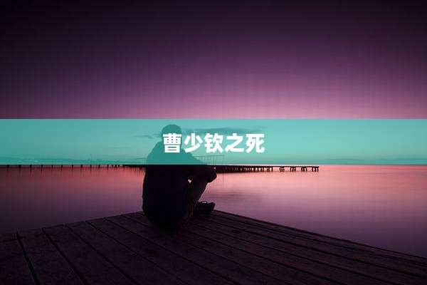 曹少钦之死
