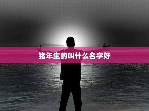 猪年生的叫什么名字好